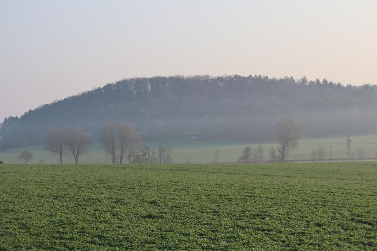 Hotel Zur Altmuehlquelle Windelsbach Exteriér fotografie